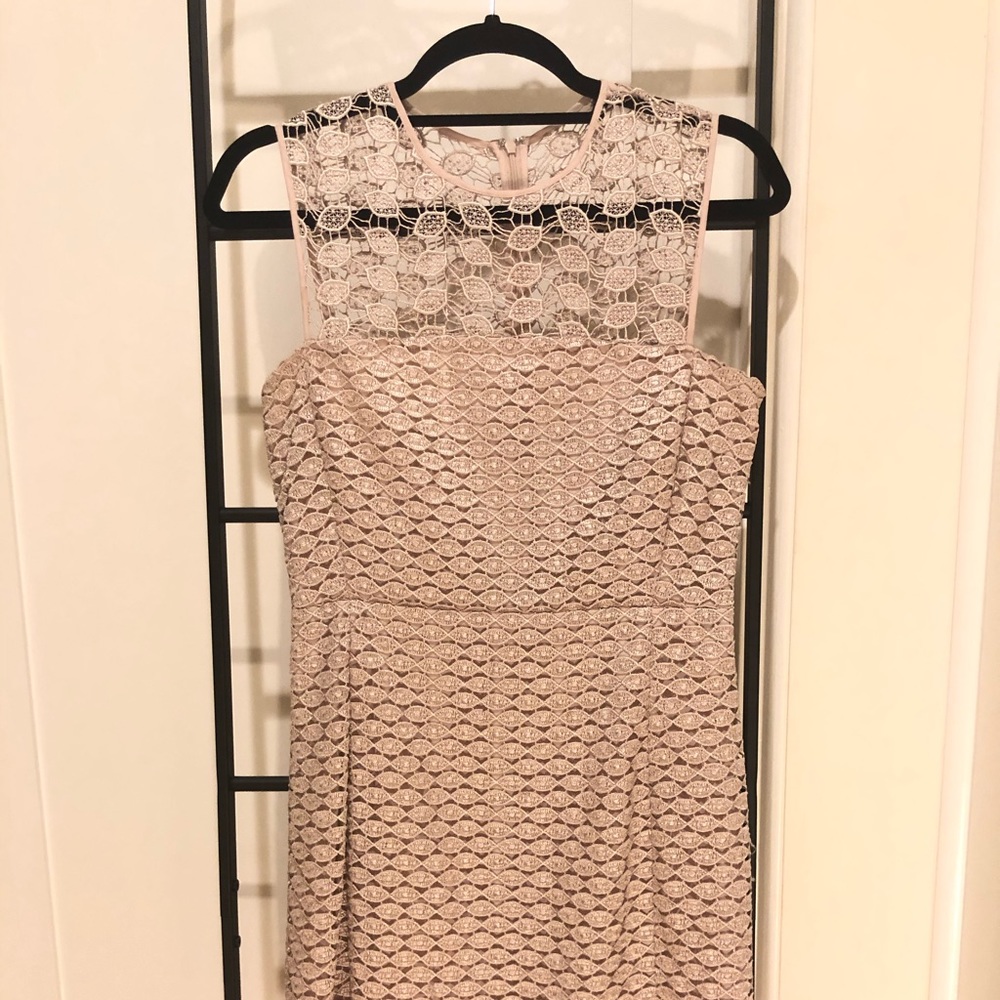Diane Von Furstenberg Kinchu Pale Pink Lace Dress